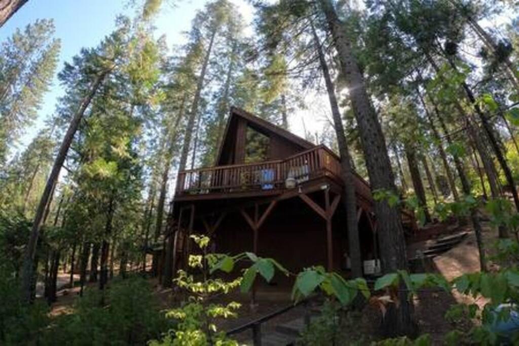 Long BarnPinecrest A-Frame Family Fun Near Dodge Ridge别墅 外观 照片